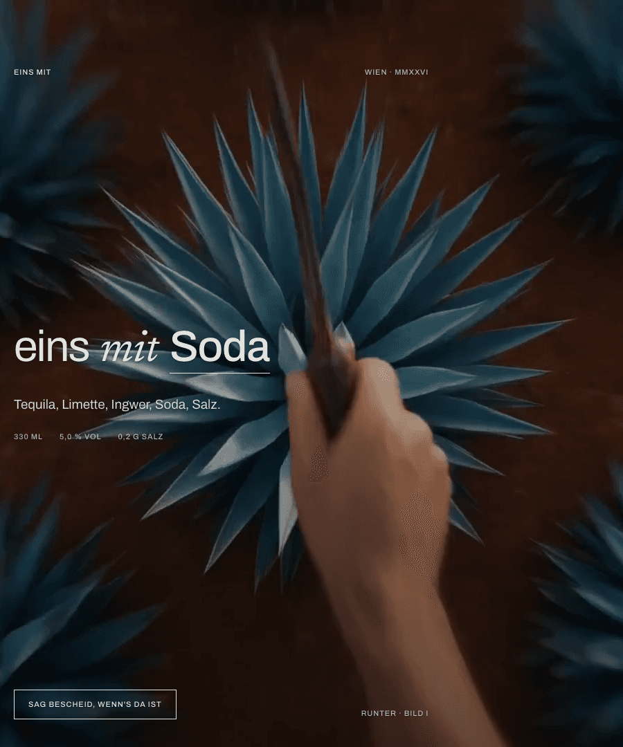 eins mit